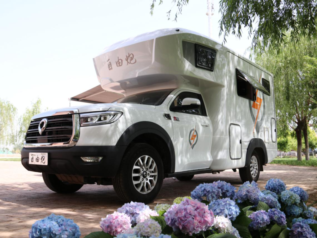 為自由著色!紅、白、藍、棕,你選哪一種? 為自由著色!紅、白、藍、棕,你選哪一種?